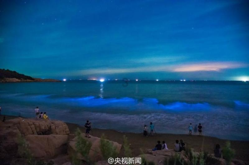 赵忠祥:名誉与非议并存,关于他的是非黑白,是时候有个定论了